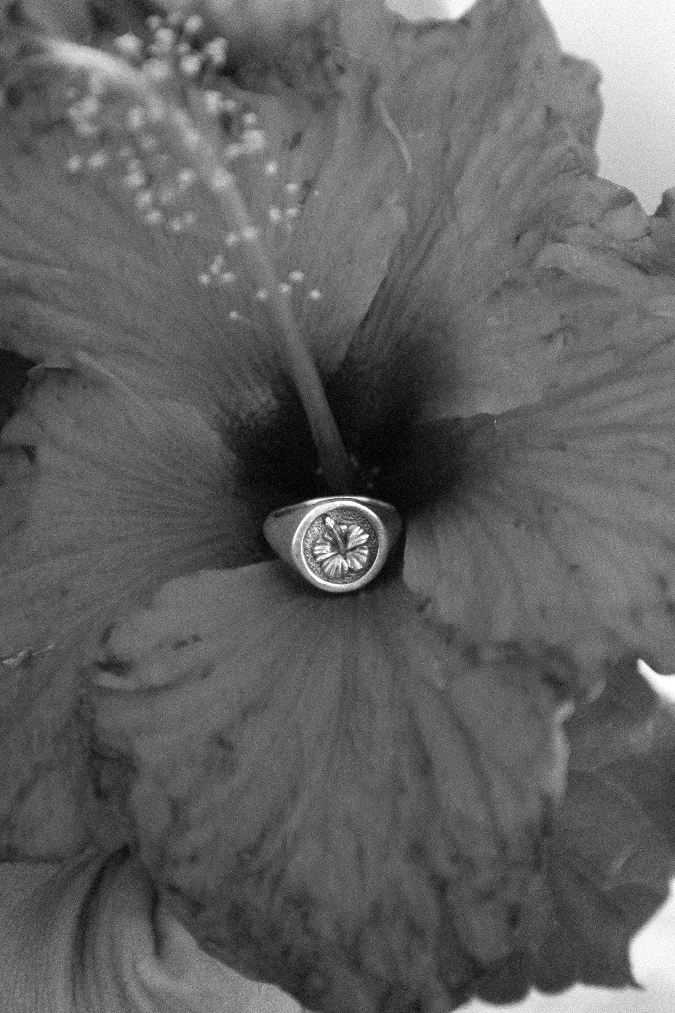 Hibiscus Signet Ring Silver
